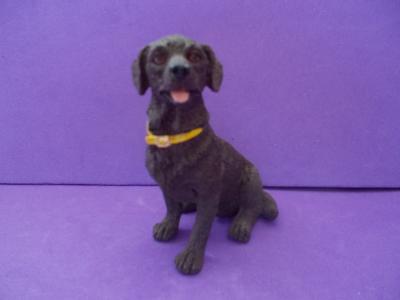 Choc Lab Yellow Collar