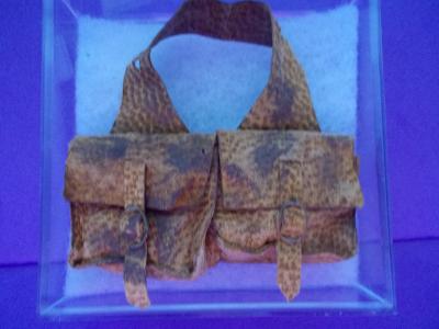 Old Saddle Bags