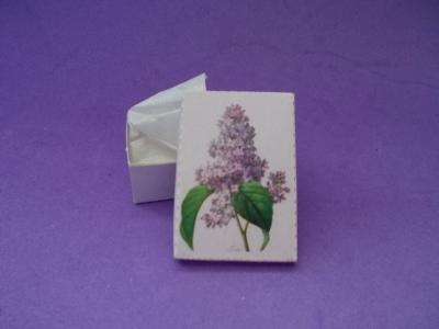 Empty Box Lilacs