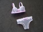Purple Panties and Bra set
