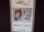 Cameo Box  Kit