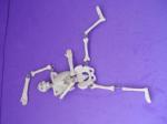 Skeleton Poseable