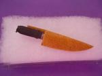 Knife in Shealth