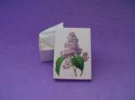 Empty Box Lilacs